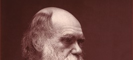 Presentación de 'El origen del hombre y la selección en relación al sexo', de Charles Darwin